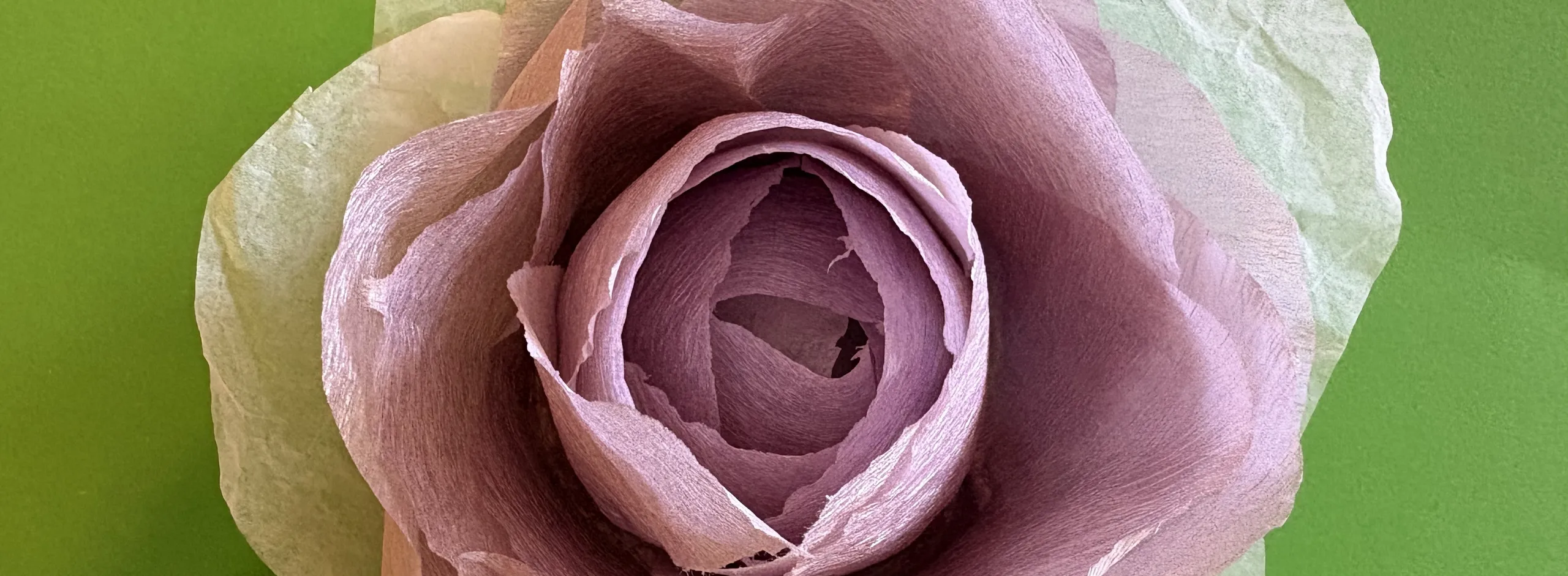 Midweek Makers Crepe Paper Flowers