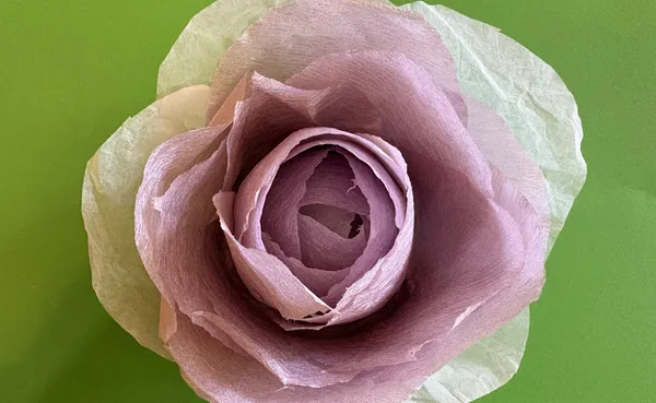 Midweek Makers Crepe Paper Flowers
