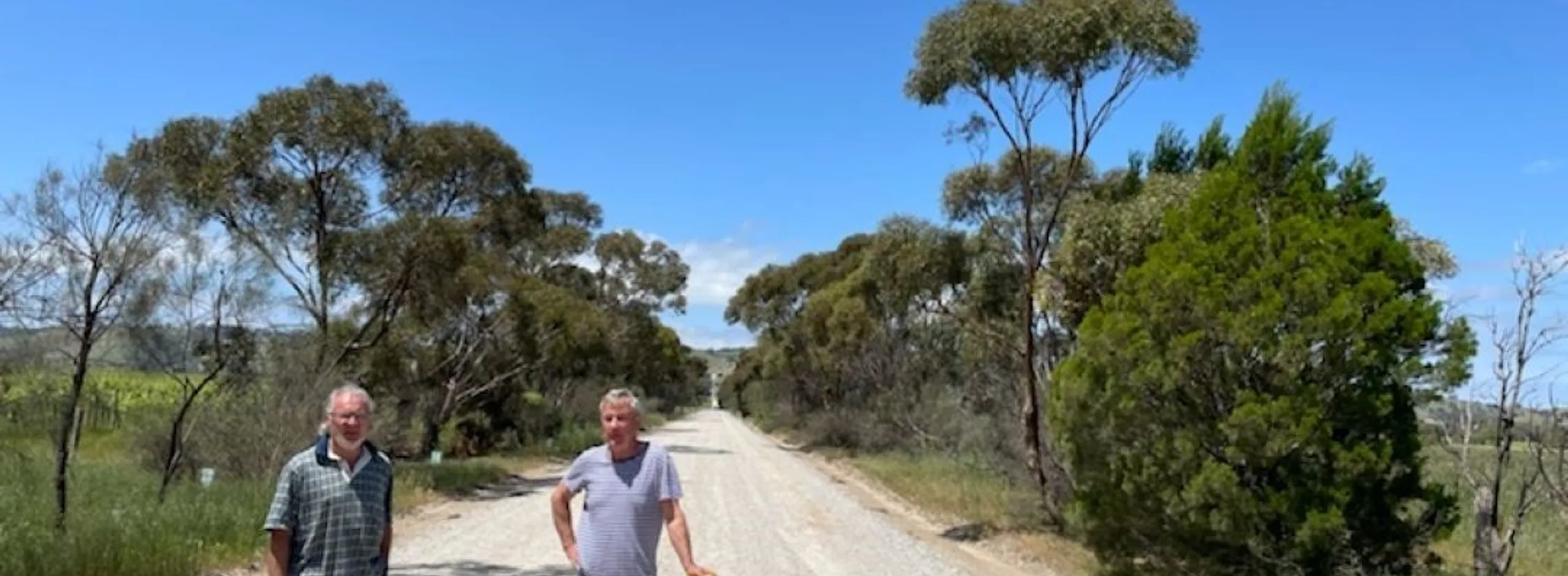 Barossa revegetation 2021 Rifle Range Road