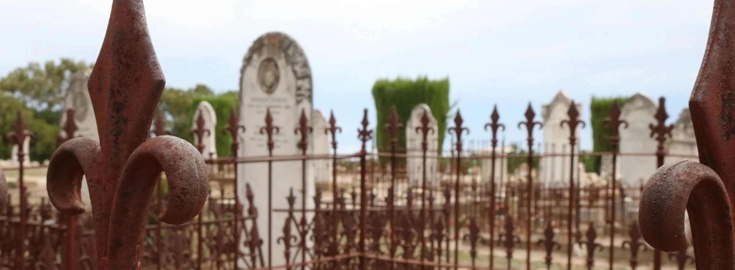 Cemetery online maps