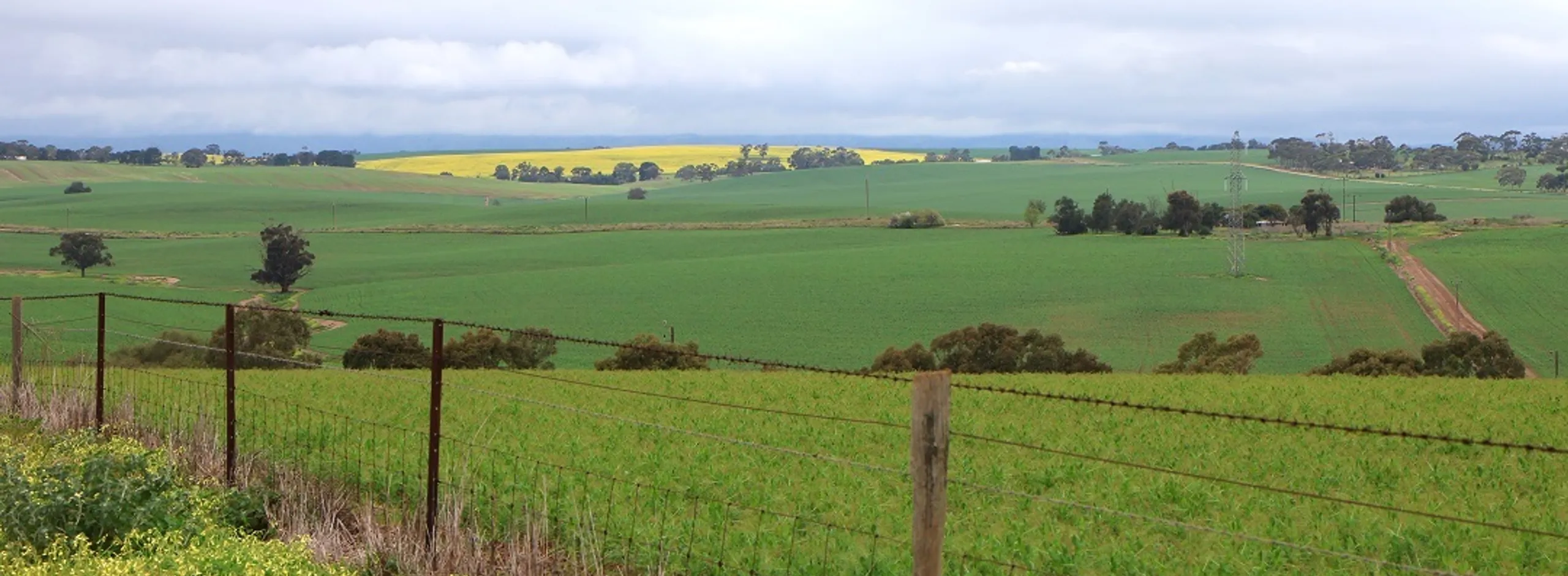 Concordia Hills