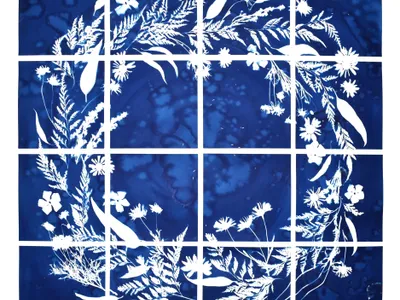 Field of Blue 2023 cyanotype on paper 73cm x 73cm Photo courtesy of artist Photo courtesy of artist Photo courtesy of artist