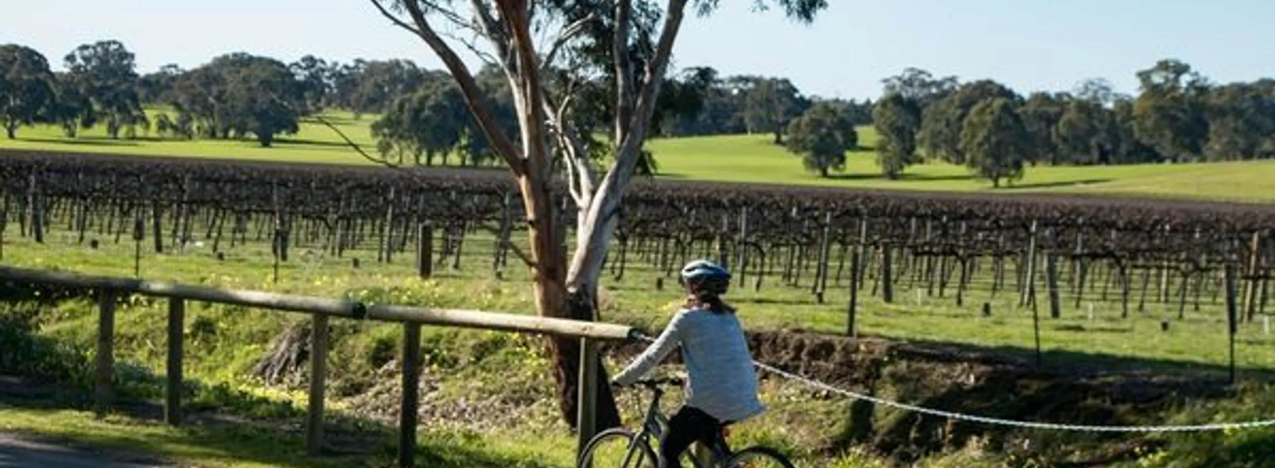 Great Australian Wine Trail cycle image