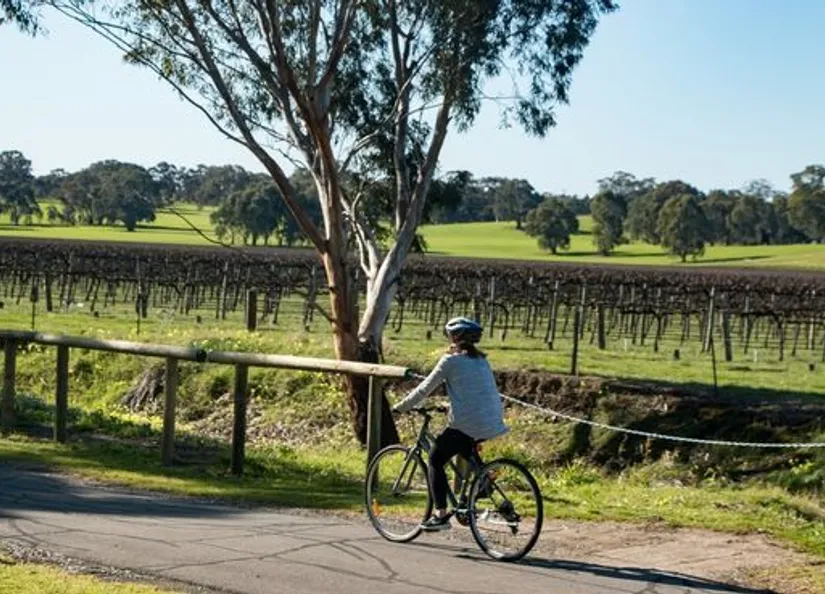 Great Australian Wine Trail cycle image