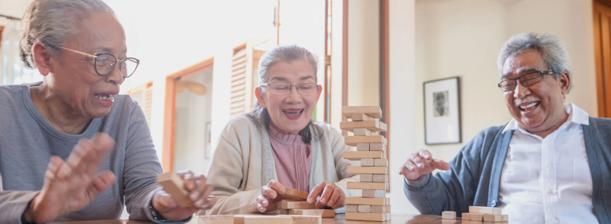 Happier Ageing Workshop