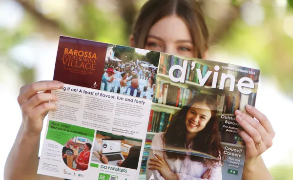 Dvine Image