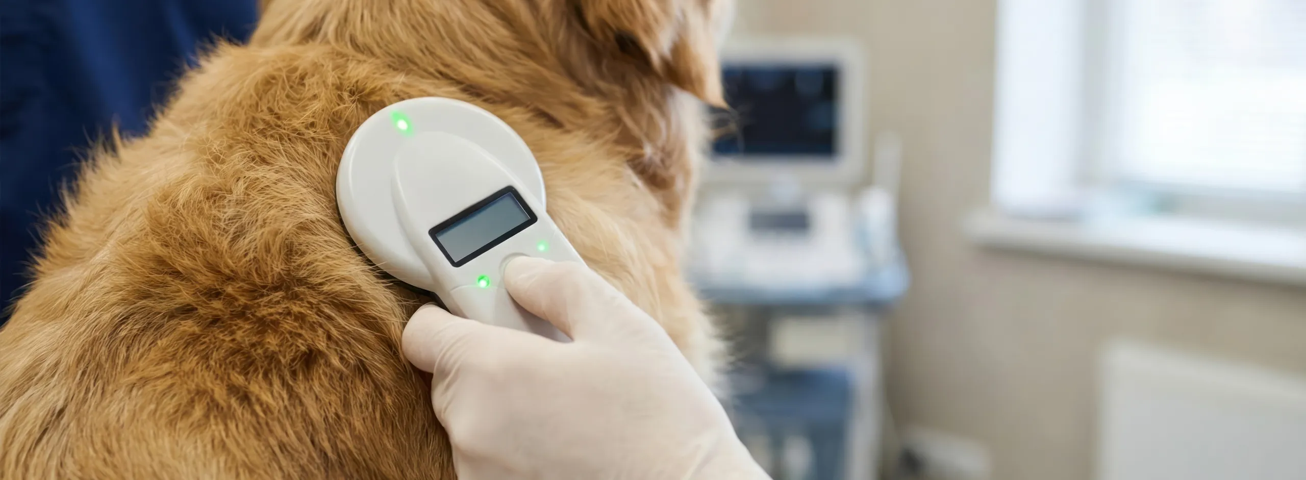 Dog Microchipping