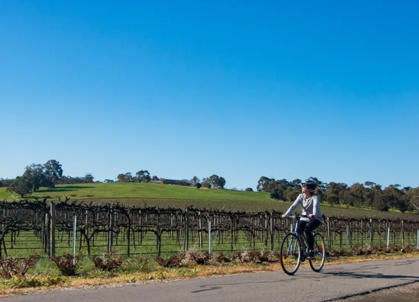 Tourism and cycling 1