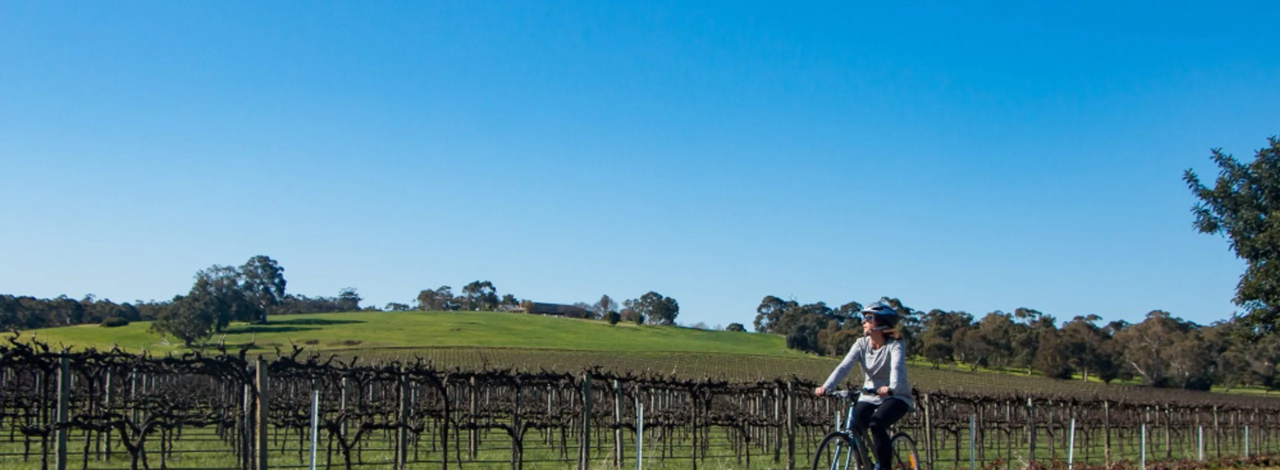 Tourism and cycling 1