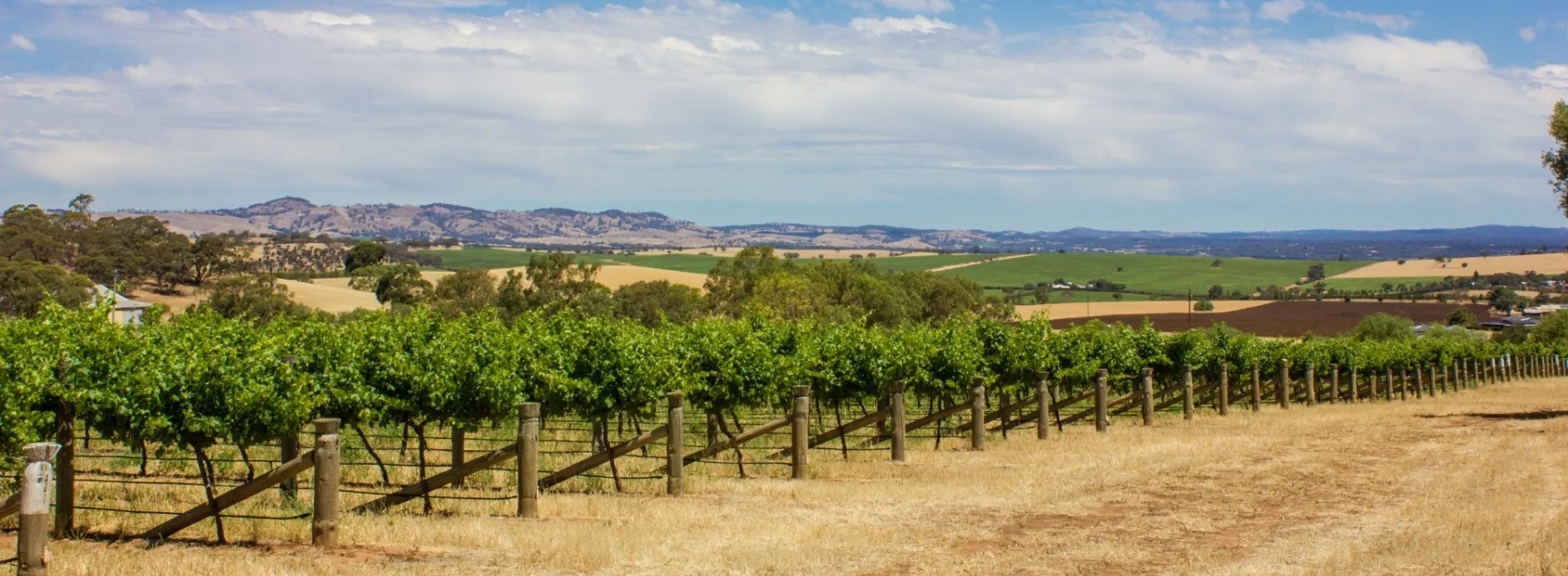 Barossa landscape hero image