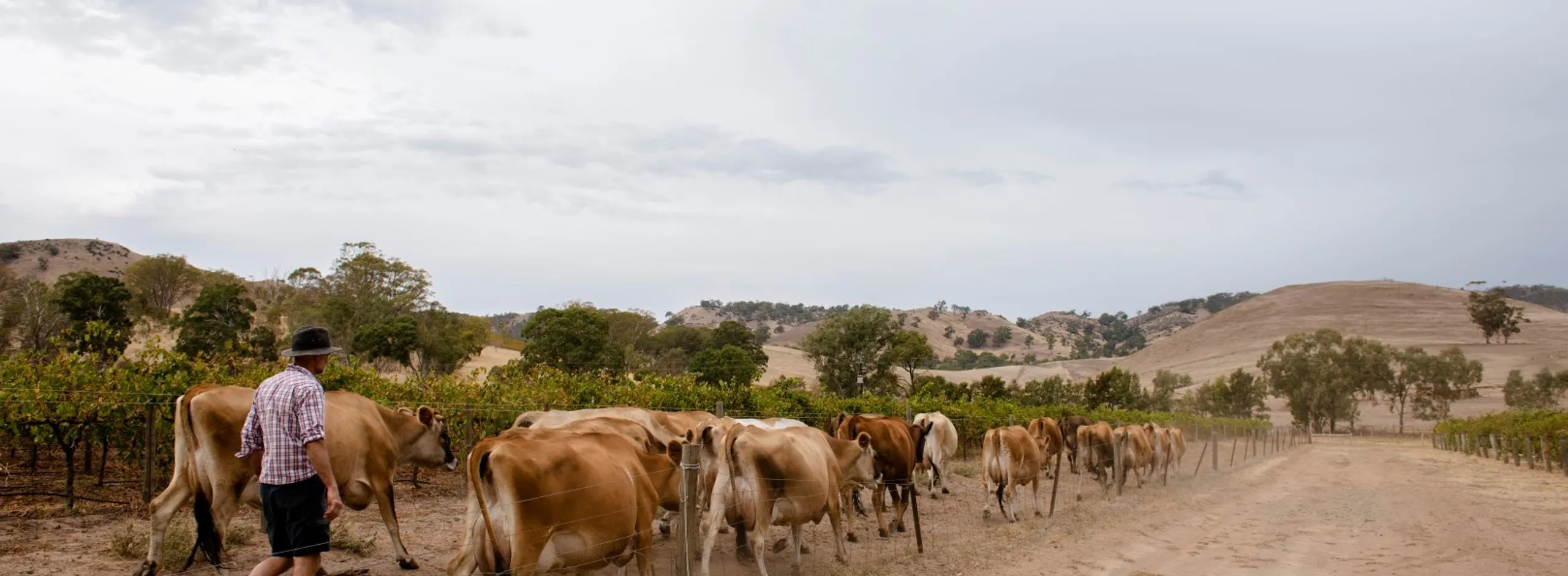 Development rural property addressing