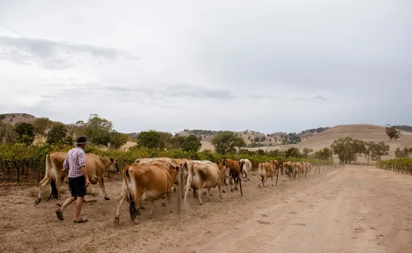 Development rural property addressing