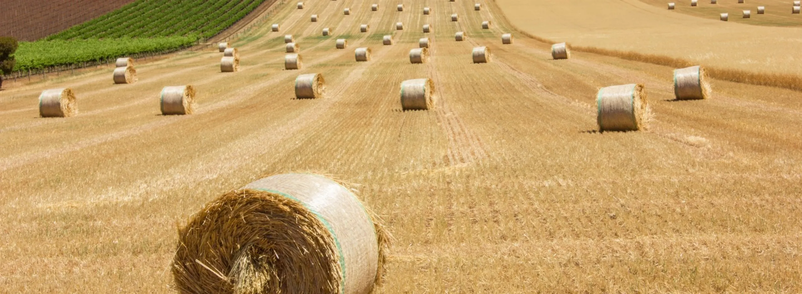 Development change in land use