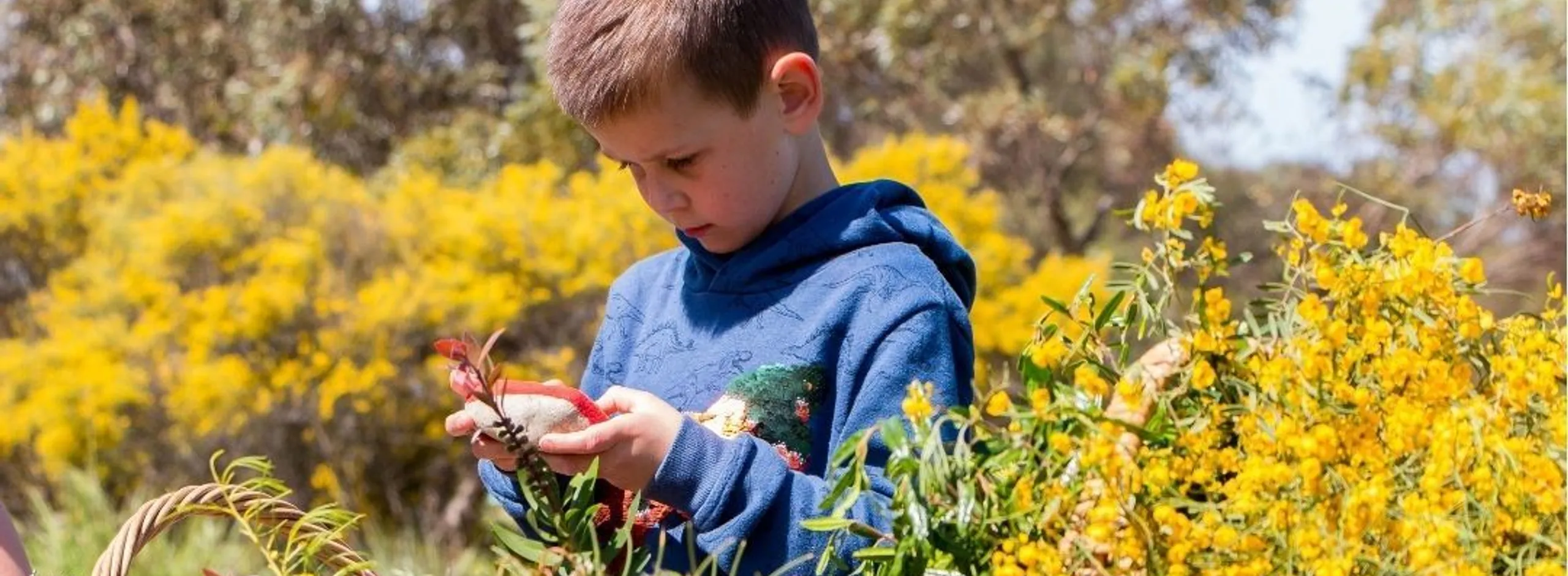 Biodiversity starts in your backyard