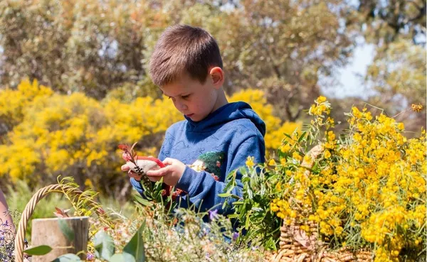 Biodiversity starts in your backyard