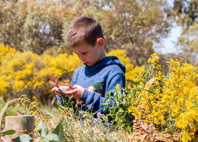 Biodiversity starts in your backyard
