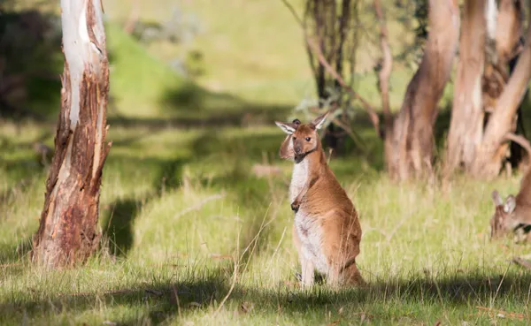 Environment natural environment