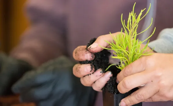 Environment sustainability