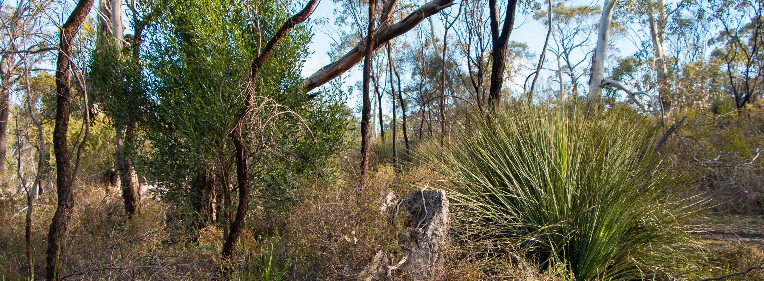 Environment altona