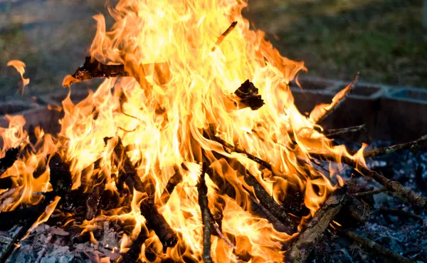 Environment backyard burning