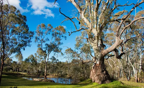 Environment landscape levy