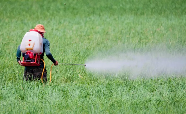 Plants and pest management