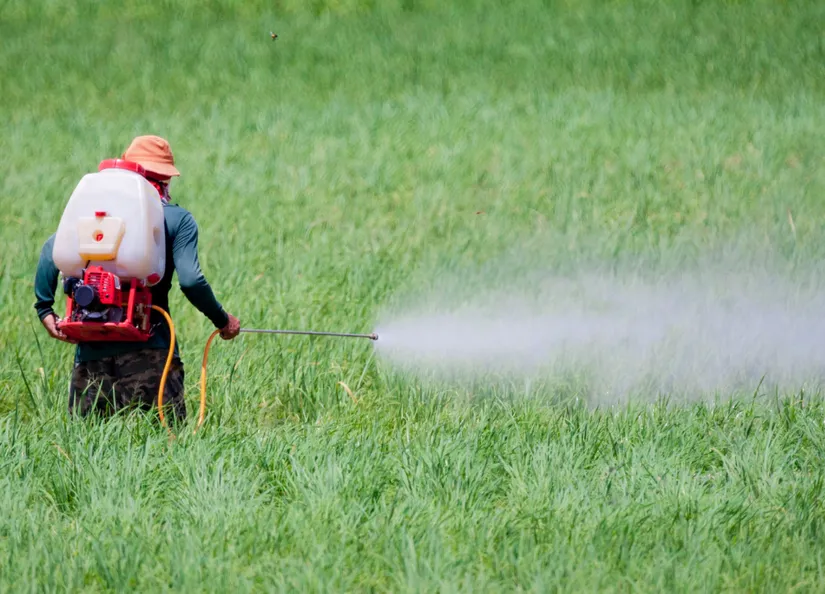 Plants and pest management