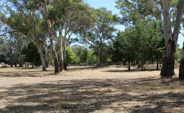 Old Talunga Park