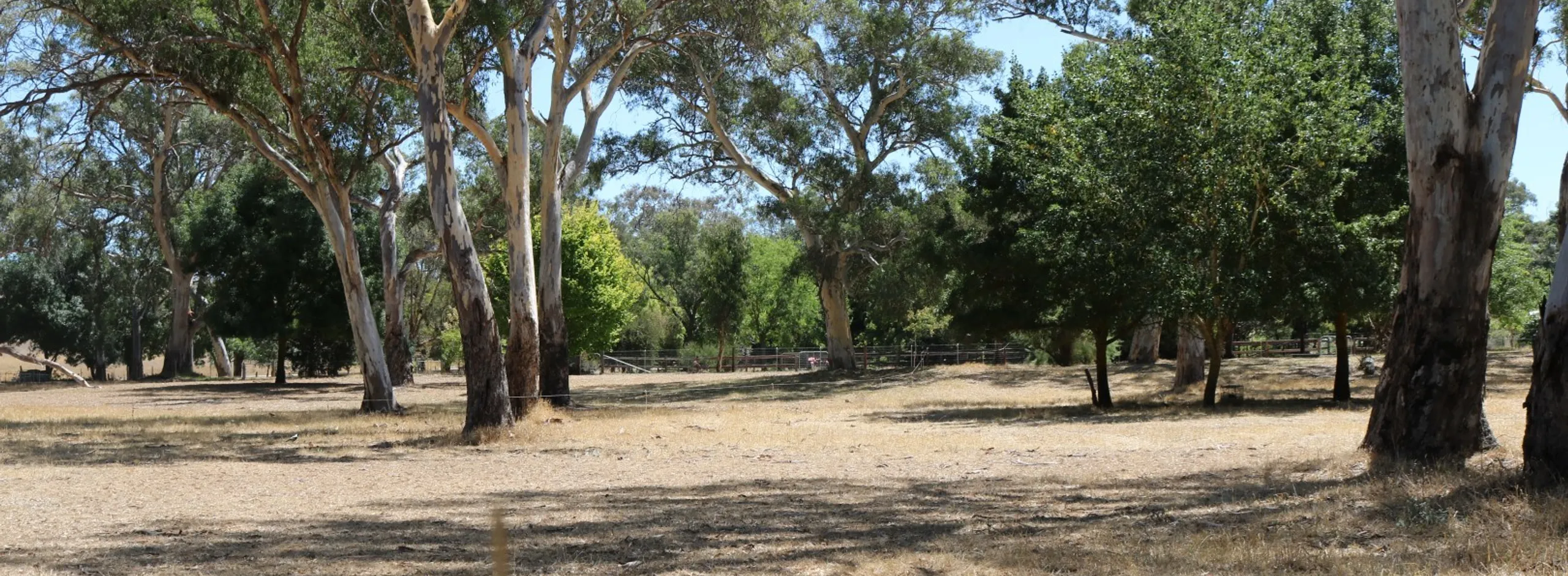 Old Talunga Park