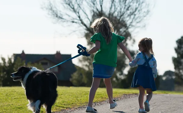 Kids & animals