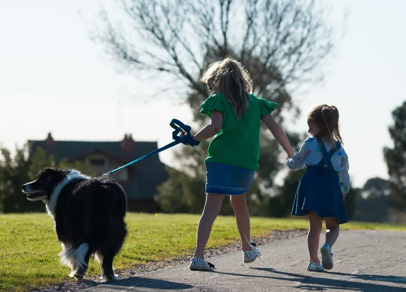 Kids & animals