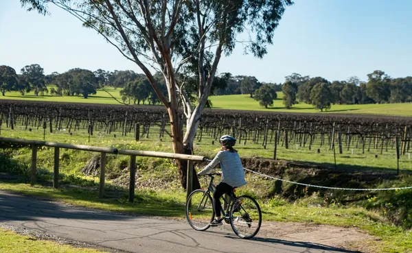 Recreation Barossa by bike