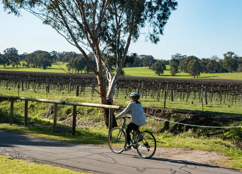 Recreation Barossa by bike