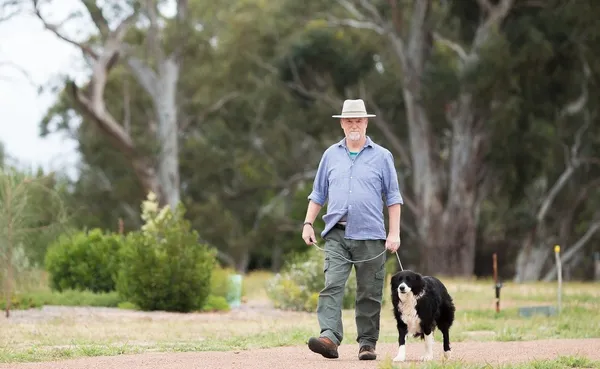 Williamstown Dog Park