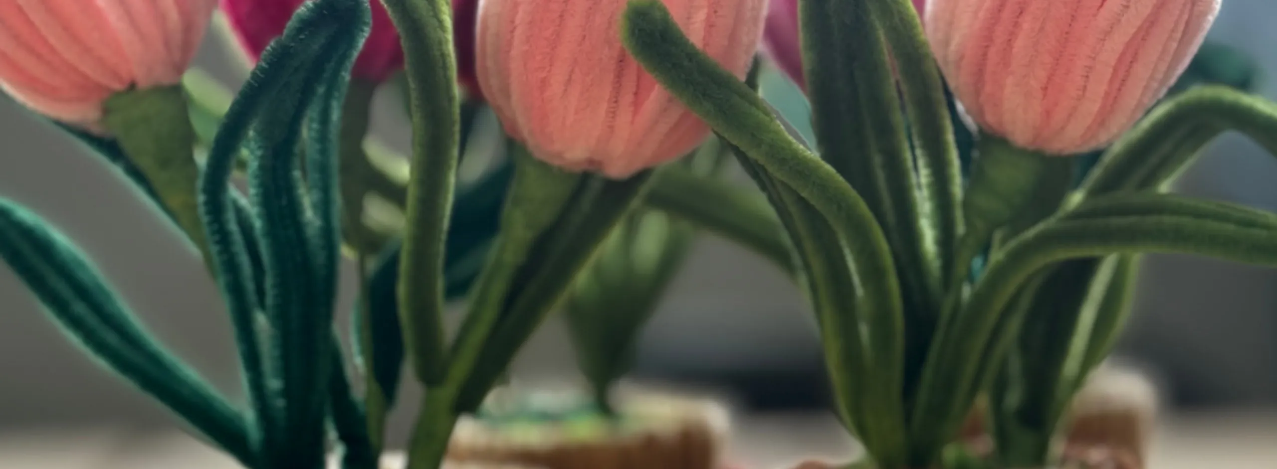 Pipe Cleaner Flowers