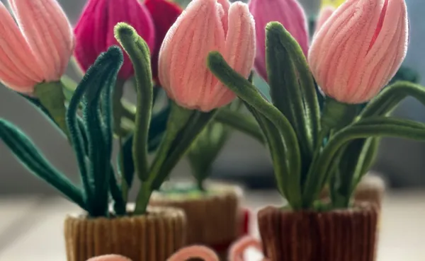 Pipe Cleaner Flowers