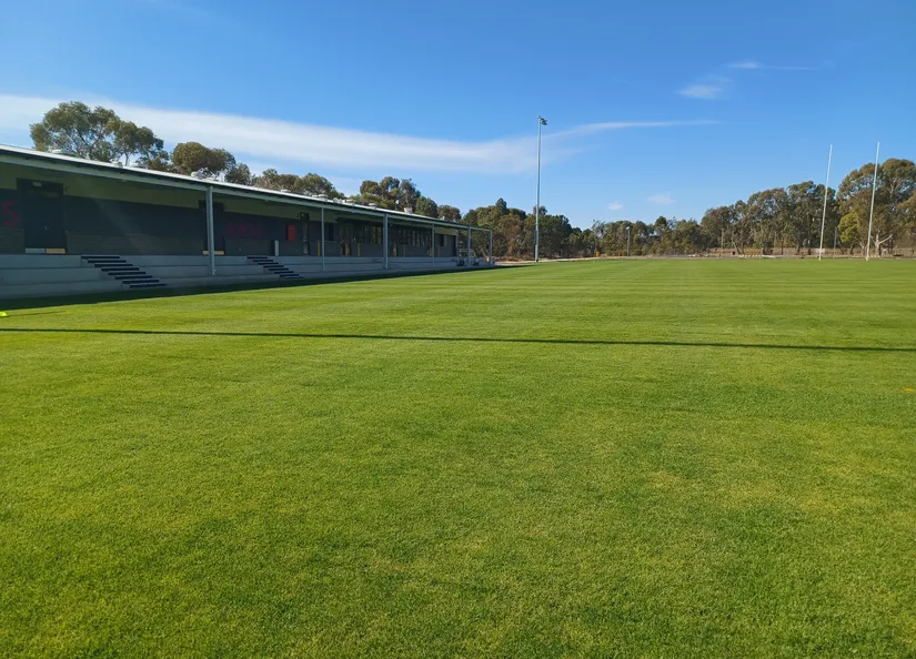 Rugby pitch