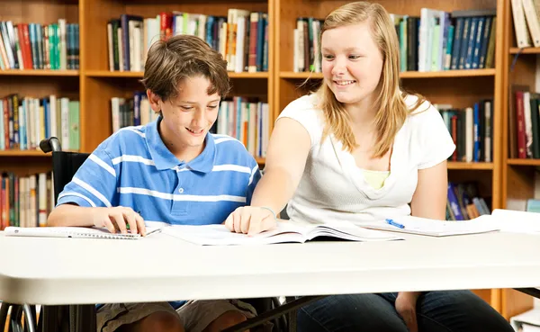 Student mentor dept of education