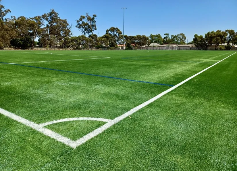 Synthetic Soccer Pitch Complete