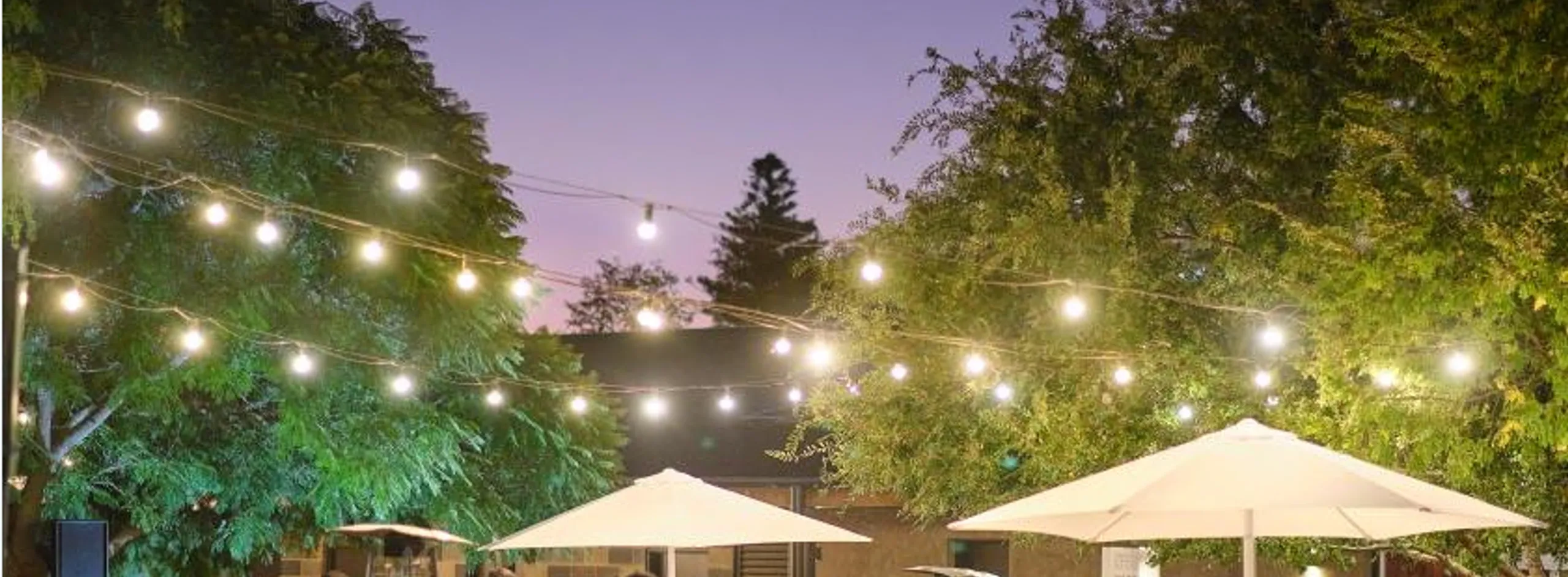 Twilight Market Scene