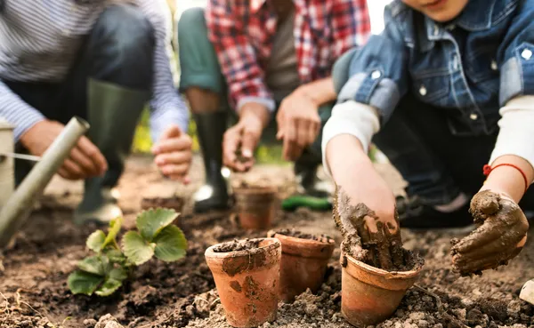 Seed Library website image