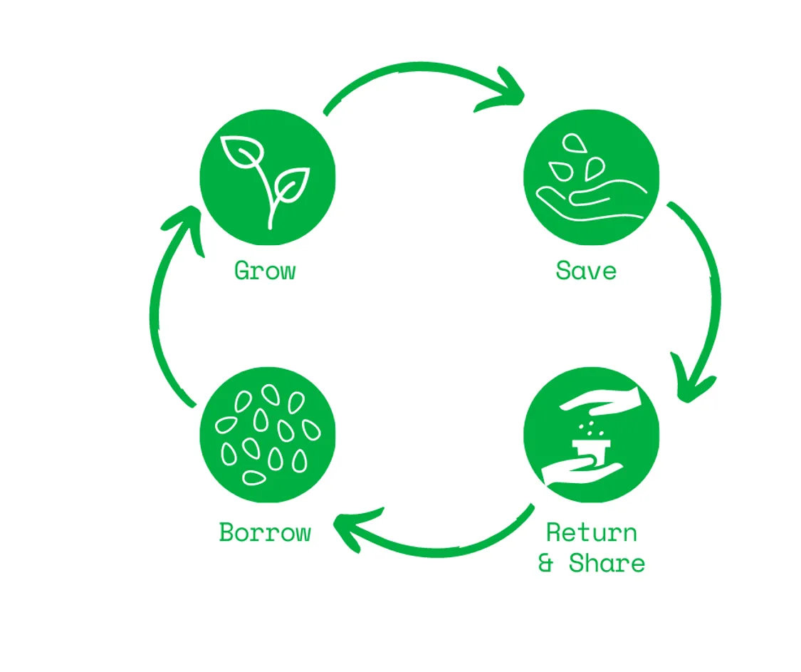 Seed library cycle