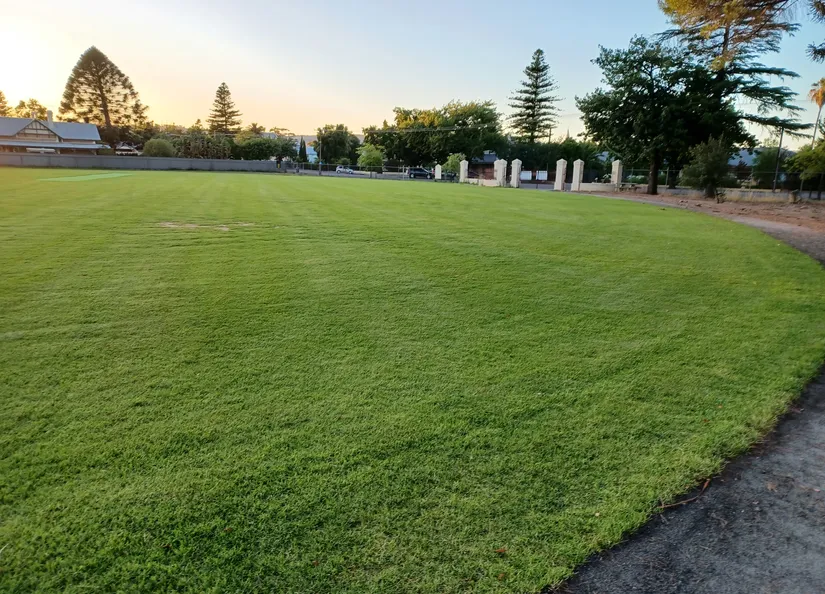 Tanunda Junior Oval 14 Feb