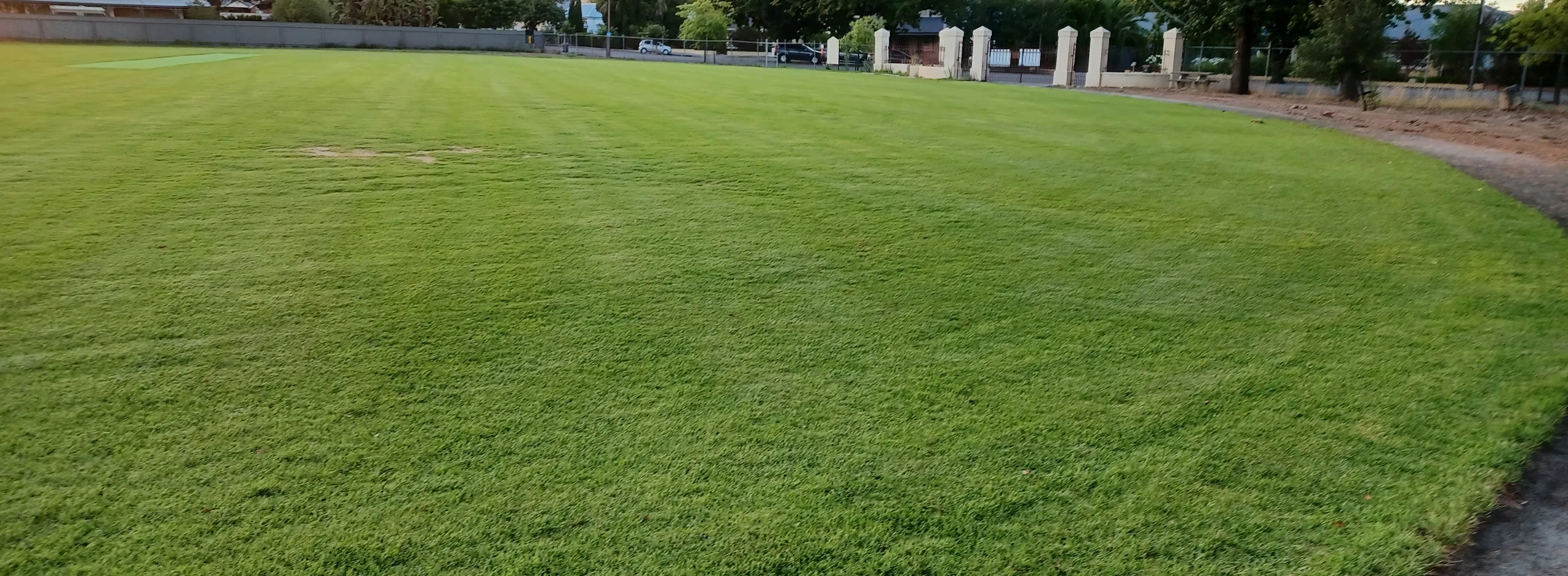 Tanunda Junior Oval 14 Feb