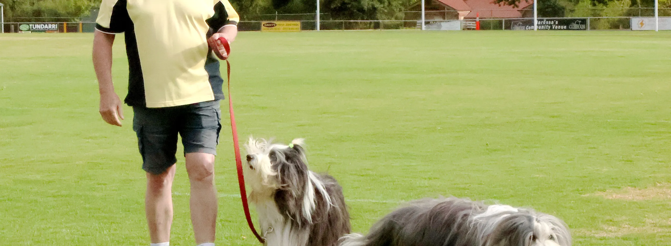 Tanunda Recreation Park Dog Walkers photos internal use 2023 1