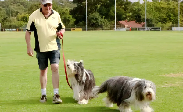 Tanunda Recreation Park Dog Walkers photos internal use 2023 1