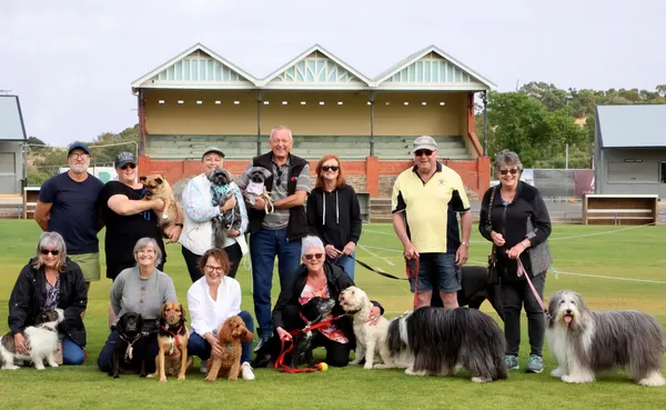 large group of dog walkers at Tanunda Oval in front of grand stand