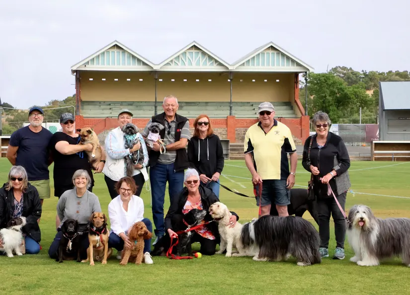 large group of dog walkers at Tanunda Oval in front of grand stand