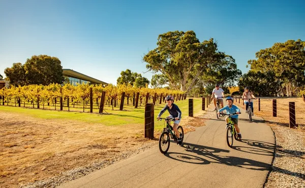 Hero image - Cycling through grape vines
