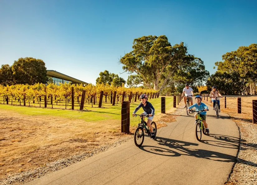 Hero image - Cycling through grape vines